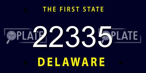 22335 Delaware License Plate