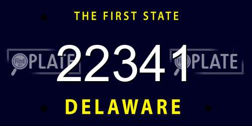 22341 Delaware License Plate