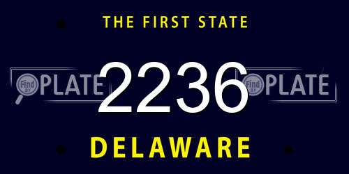 2236 Delaware License Plate