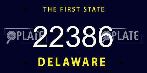 22386 Delaware License Plate