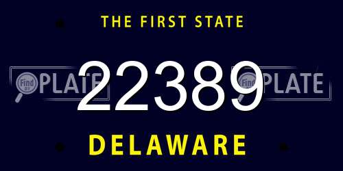 22389 Delaware License Plate