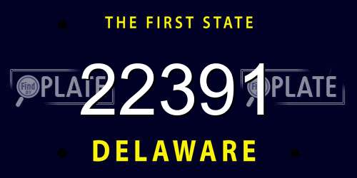 22391 Delaware License Plate