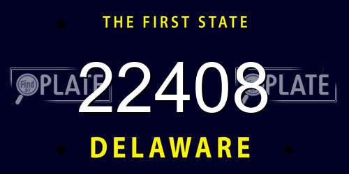 22408 Delaware License Plate