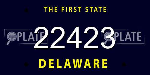 22423 Delaware License Plate