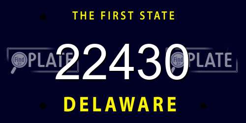 22430 Delaware License Plate
