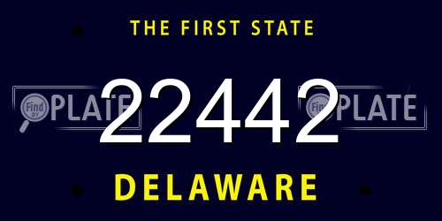 22442 Delaware License Plate