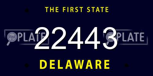 22443 Delaware License Plate