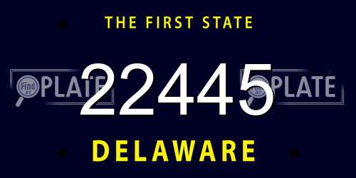 22445 Delaware License Plate