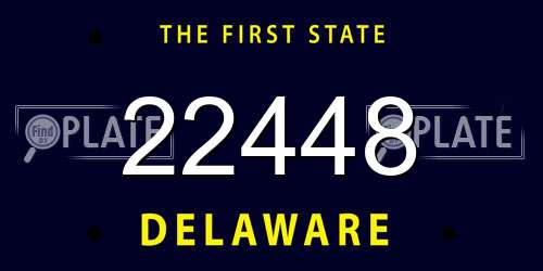 22448 Delaware License Plate
