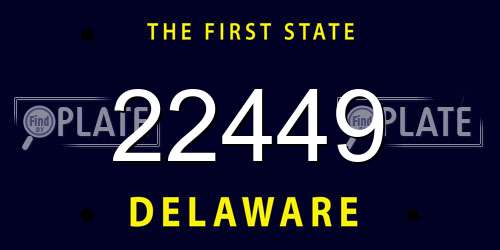 22449 Delaware License Plate