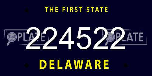 224522 Delaware License Plate