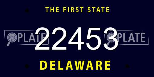 22453 Delaware License Plate