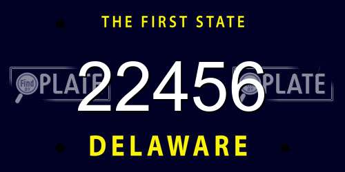 22456 Delaware License Plate