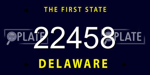 22458 Delaware License Plate