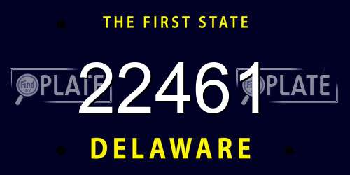 22461 Delaware License Plate