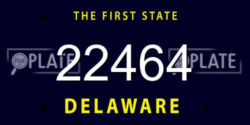 22464 Delaware License Plate