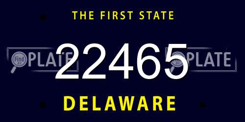 22465 Delaware License Plate