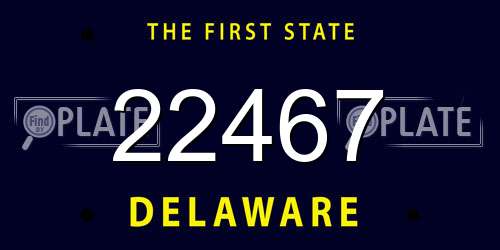 22467 Delaware License Plate