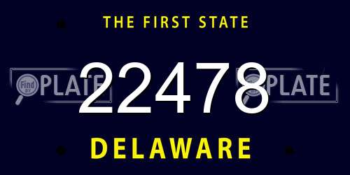 22478 Delaware License Plate