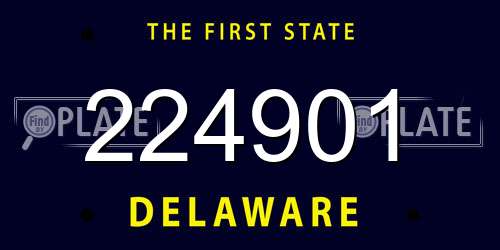 224901 Delaware License Plate