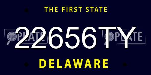 22656TY Delaware License Plate