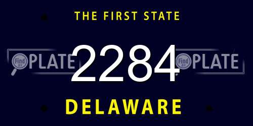 2284 Delaware License Plate