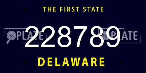 228789 Delaware License Plate