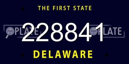228841 Delaware License Plate