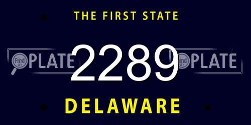 2289 Delaware License Plate