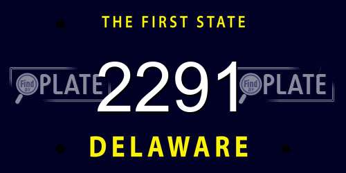 2291 Delaware License Plate