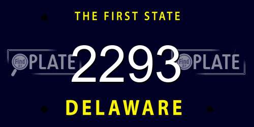 2293 Delaware License Plate