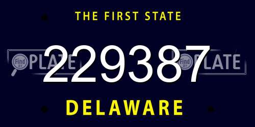 229387 Delaware License Plate