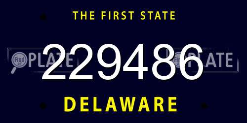 229486 Delaware License Plate