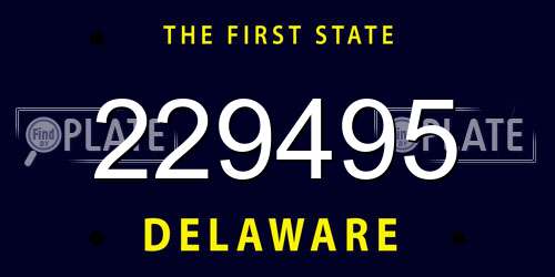 229495 Delaware License Plate