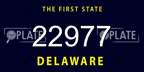 22977 Delaware License Plate