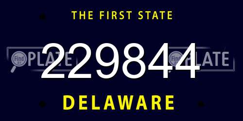 229844 Delaware License Plate