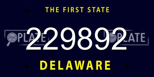 229892 Delaware License Plate