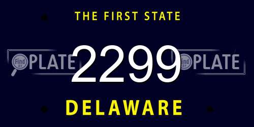 2299 Delaware License Plate