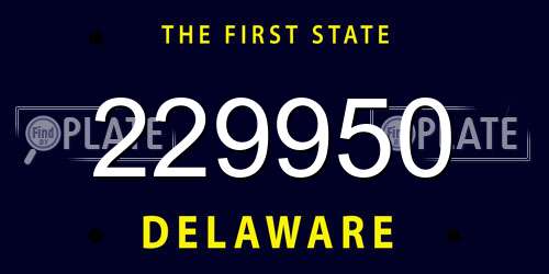 229950 Delaware License Plate