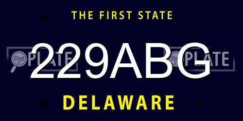 229ABG Delaware License Plate