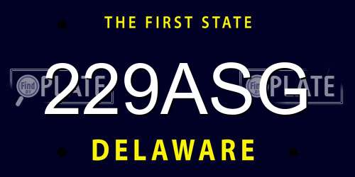 229ASG Delaware License Plate
