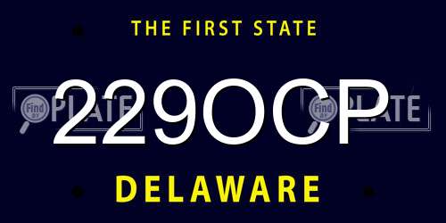 229OCP Delaware License Plate