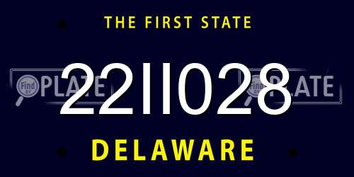 22II028 Delaware License Plate