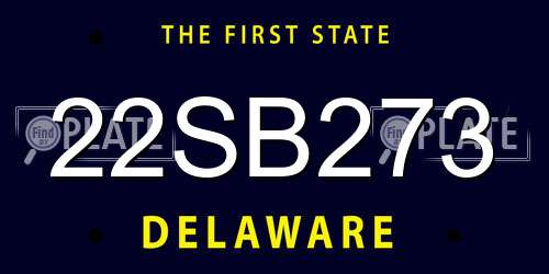 22SB273 Delaware License Plate