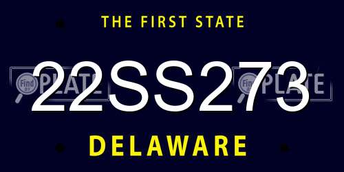 22SS273 Delaware License Plate