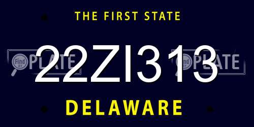 22ZI313 Delaware License Plate