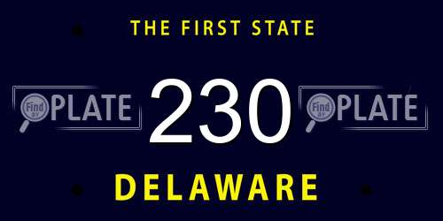 230 Delaware License Plate