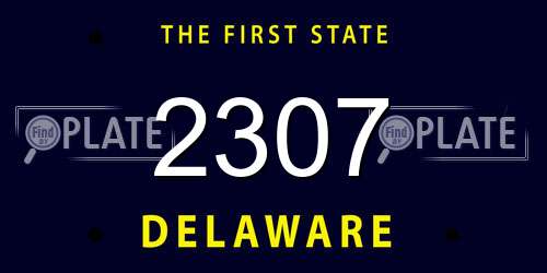 2307 Delaware License Plate