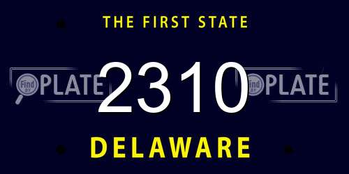 2310 Delaware License Plate
