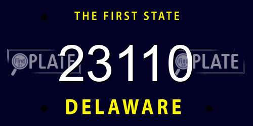 23110 Delaware License Plate